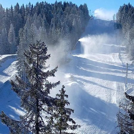 Woodside Woodside Apartments Kopaonik Free Parking & Spa , Free Ski Locker Luaran gambar