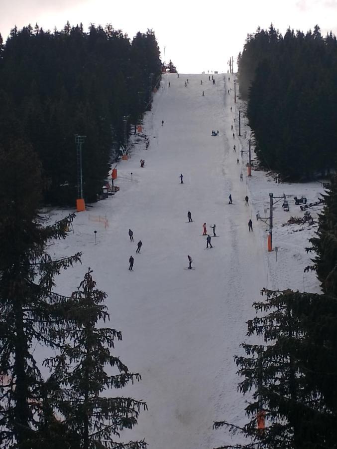 Woodside Woodside Apartments Kopaonik Free Parking & Spa , Free Ski Locker Luaran gambar